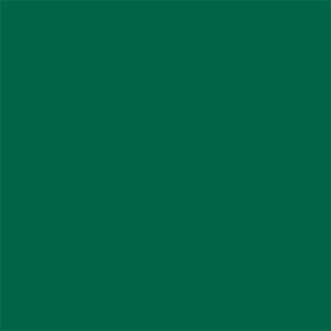 Roller Blinds - Bella Cacti