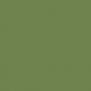 Roller Blinds - Arona FR Verde